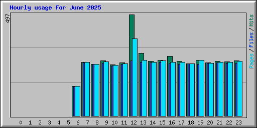 Hourly usage for June 2025