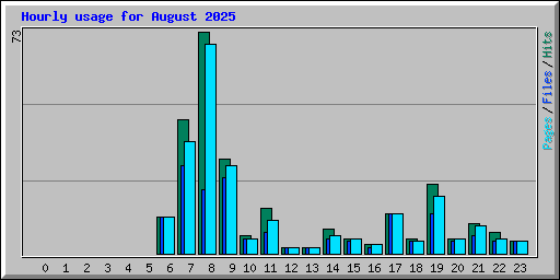 Hourly usage for August 2025