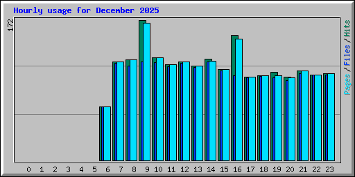Hourly usage for December 2025