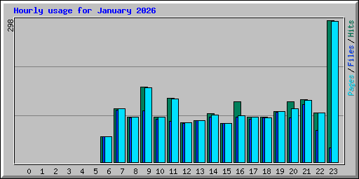 Hourly usage for January 2026