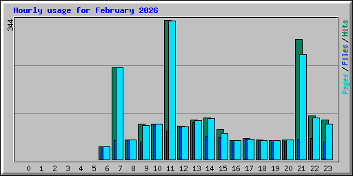 Hourly usage for February 2026